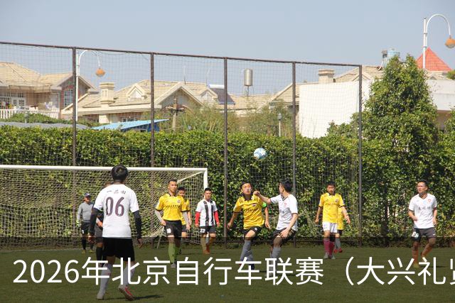 2026年北京自行车联赛（大兴礼贤赛段）暨礼贤镇第二届自行车赛圆满落幕-国际在线